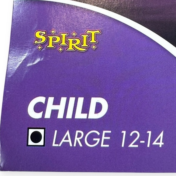 Disney Hocus Pocus Dani Dennison Child Costume Large 12 14 Spirit Halloween - Picture 6 of 13